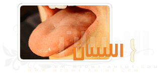 صورة مرفقة
