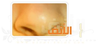 صورة مرفقة
