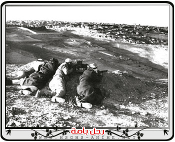 صورة مرفقة