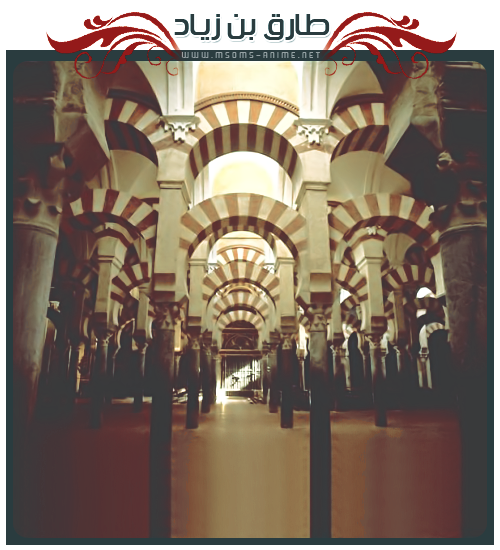 صورة مرفقة