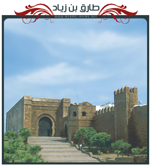 صورة مرفقة
