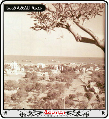صورة مرفقة