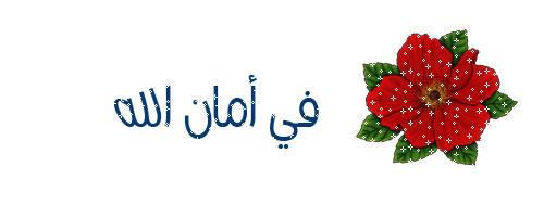 صورة مرفقة