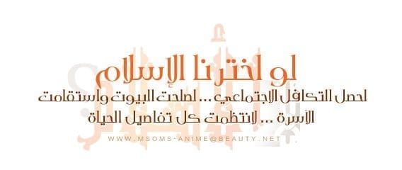 لحصل التكافل الاجتماعي ... لصلحت البيوت واستقامت الأسرة ..
